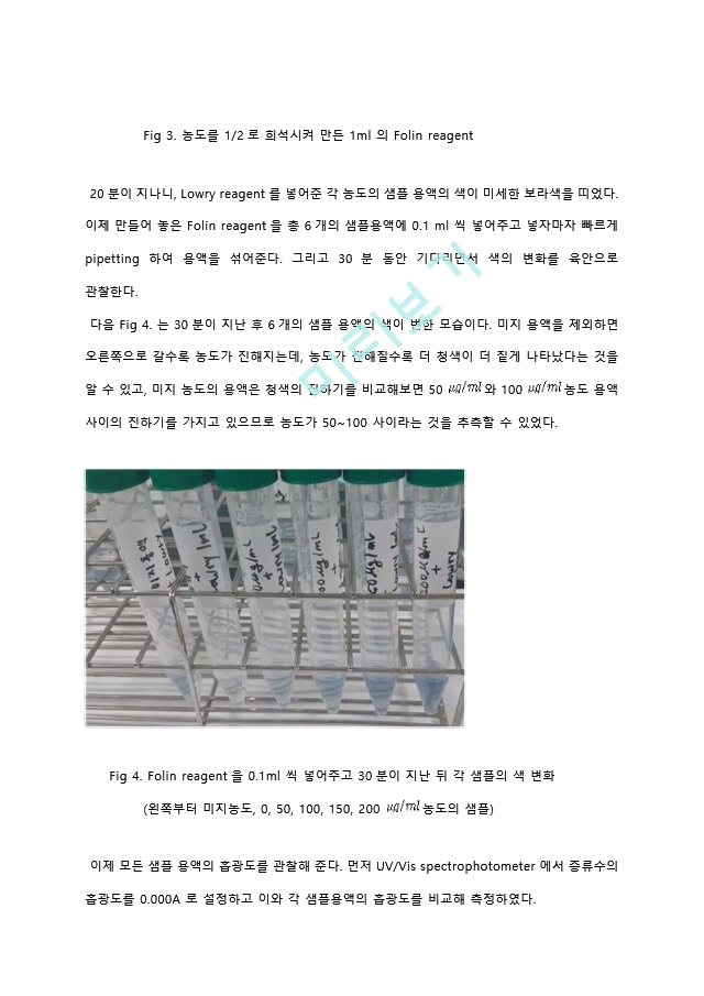 Lowry protein assay (단백질 정량 분석) 실험 결과레포트 [A＋].hwp